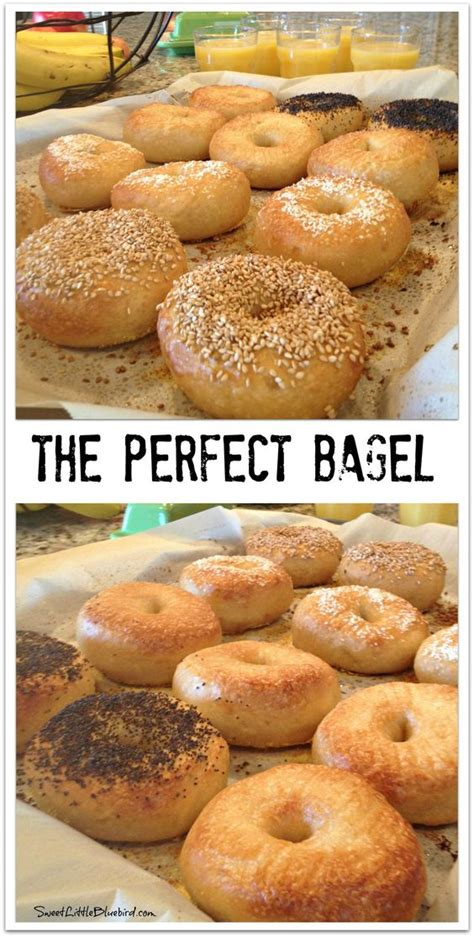 peter reinharts bagel recipe.